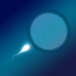 Sperm Donor With Cancer Gene Sparks Screening Concerns