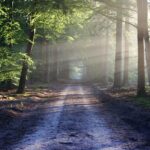 Nature Is Your Gym: Using the Outdoors to Boost Your Physical and Mental Health