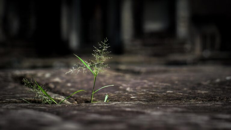 Coping with a Cancer Diagnosis: What You Need to Know