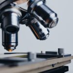 Drug-Resistant Fungal Infections Surge in U.S. Hospitals