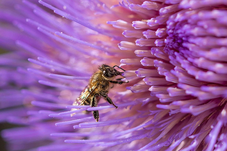 Allergy Season is Getting Longer: Expert Tips to Breathe Easier Now