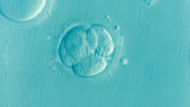 Lab-Grown Human Embryos: Medical Breakthrough or Concern?
