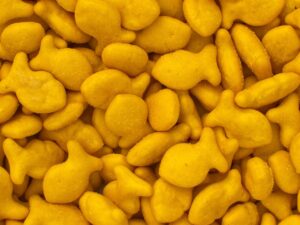 The Dangerous Truth About Ultraprocessed Foods