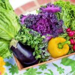 Fix Your Gut, Fix Your Life? The New Science on Microbiome and Chronic Disease