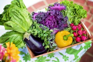 Fix Your Gut, Fix Your Life? The New Science on Microbiome and Chronic Disease