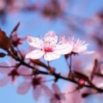 What Are Those Tiny Read Dots on My Skin?