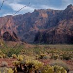Rare U.S. Death Highlights Pneumonic Plague Danger