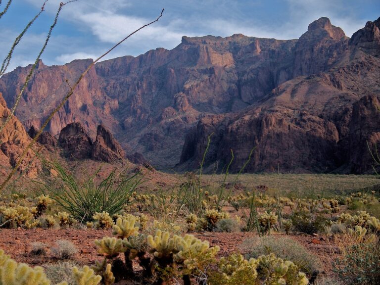 Rare U.S. Death Highlights Pneumonic Plague Danger