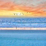 Ocean Safety Rules Every Family Should Know