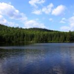 Drowning Doesn’t Always Look Like Drowning: What to Watch For