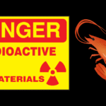 Radioactive Shrimp Recall Raises Major Food Safety Concerns