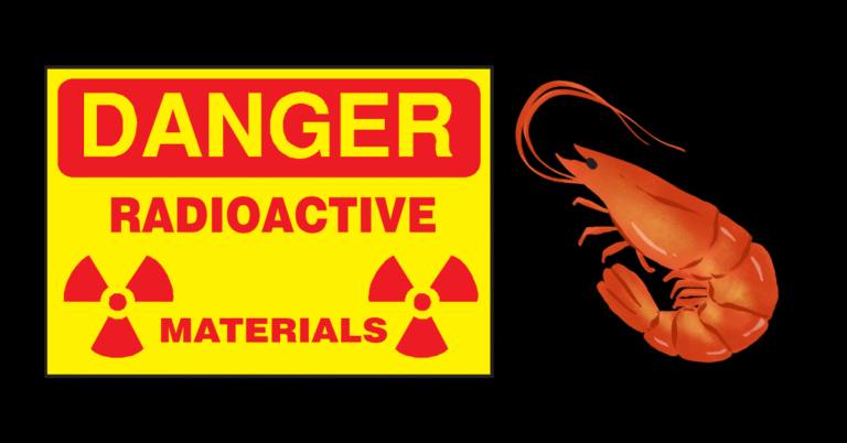 Radioactive Shrimp Recall Raises Major Food Safety Concerns