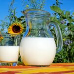 Whole Milk’s Comeback: New Guidelines May Shift Dairy Advice