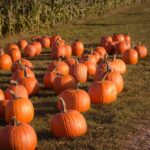 Crohn’s & Colitis and Halloween Candy: What’s Safe to Sneak?
