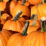 Pumpkin Power: Surprising Benefits of Fall’s Favorite Superfood