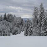 When Cold Air Triggers Skin Flare-Ups: Chemistry & Care Tips