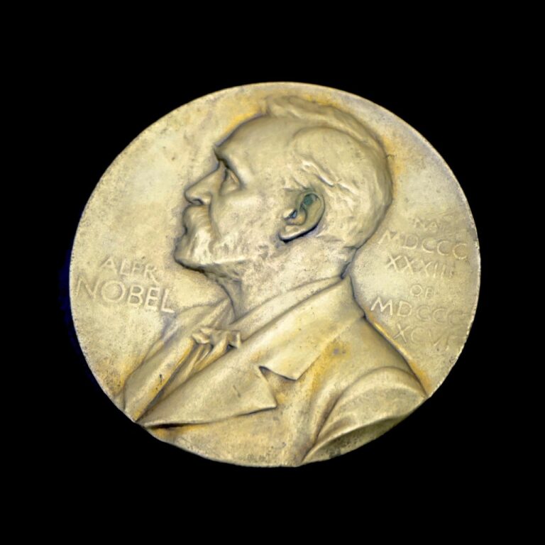 Nobel Prize 2025: Immune Disorders Solved!