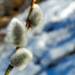 Spring Health Tips to Refresh Your Routine