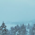 Power Out in Freezing Weather? Learn How to Stay Safe