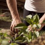 Why You Should Take Up Gardening